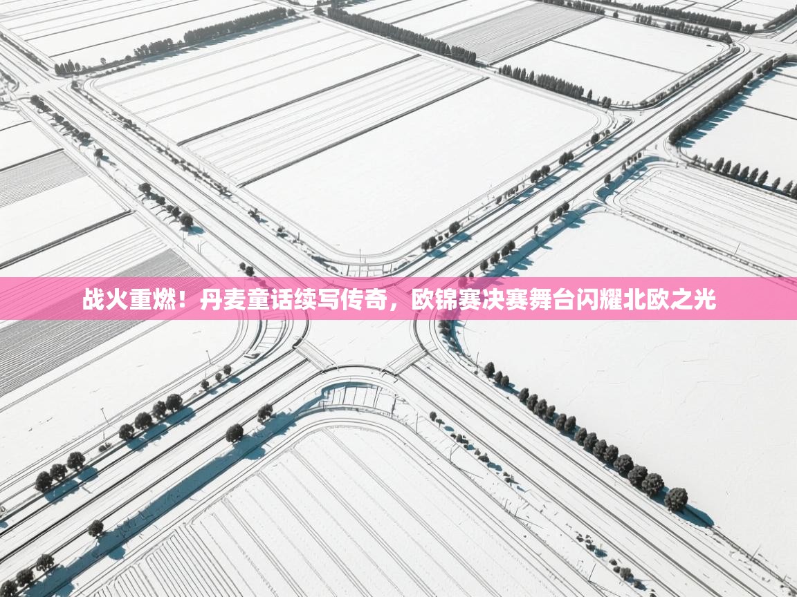 战火重燃！丹麦童话续写传奇，欧锦赛决赛舞台闪耀北欧之光  第2张