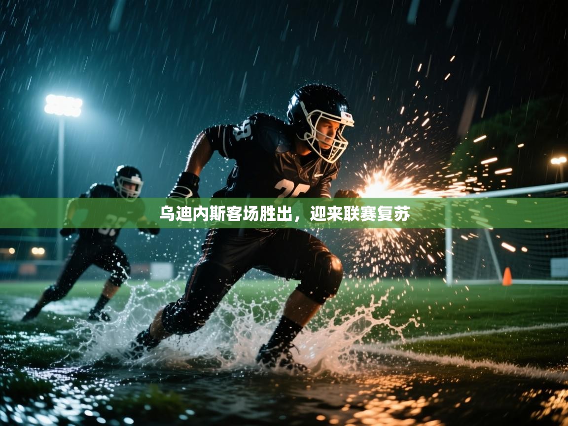 乌迪内斯客场胜出，迎来联赛复苏  第2张